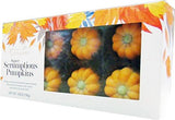 Chocolate Pumpkins