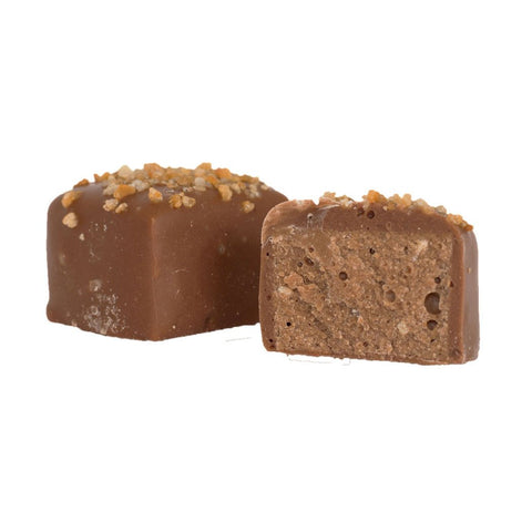 Hazelnut Delight - Hazel