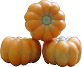 Chocolate Pumpkins